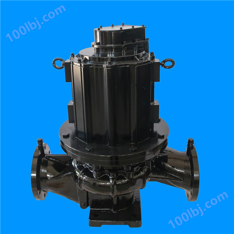 永磁同步立式单级泵 LHL125-250A (水冷电机）