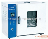 2012全新电热鼓风干燥箱 101-00型电热恒温鼓风干燥箱价格